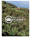 Edição Banana da Madeira